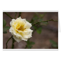 Fleurs pour vous cartes de vœux
