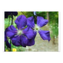 Fleurs pourpres cartons d'invitation
