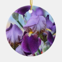 Fleurs pourpres d'iris ornements
