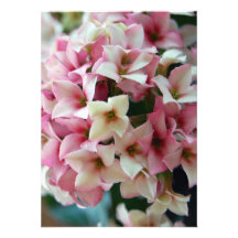 Fleurs roses de ressort bristol personnalisé