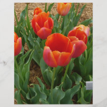 Fleurs rouges prospectus en couleur