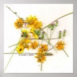 Fleurs sauvages dispersés dans jaune et le blanc posters