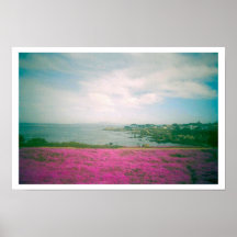 Fleurs sauvages posters