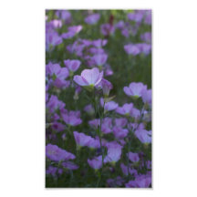 fleurs sauvages pourpres partout photo sur toile