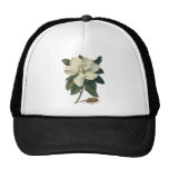 Fleurs vintages, fleur blanche de floraison de mag casquette de camionneur