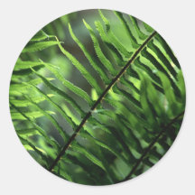 Flora - Varens - Backlit Varens Stickers