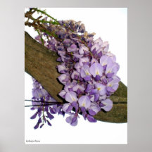 floral affiche