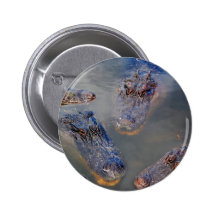 Florida-swimming-hole-design-001 Badges