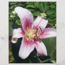 flower#3 prospectus en couleur