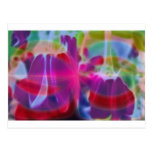 FlowerImplosion 7 Cartes Postales