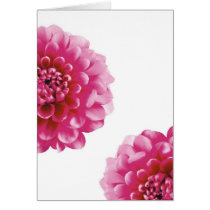 flowrs roses cartes