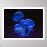Fluorescentie Print