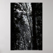 Forêt 4 de Milou Orégon Poster