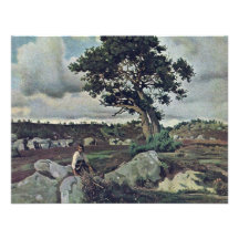 Forêt de Fontainebleau (le chêne) par le Jean-Ba d Invitations