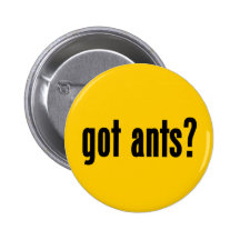 fourmis obtenues ? badges avec agrafe