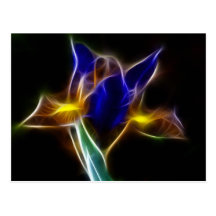 fractalius Blauwe Lelie Wenskaart