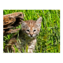Fractalius Bobcat Wenskaart