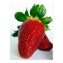 fraise #1 carte postale