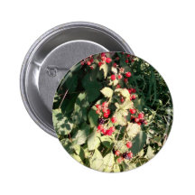 Framboises Badges