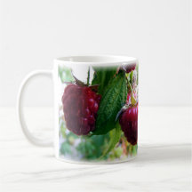 Framboises Mug
