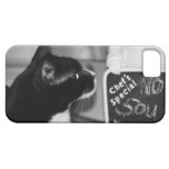 Frances2 coques case-mate