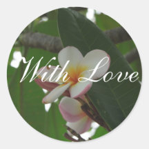 Frangipani met de envelopverbinding van het liefde sticker