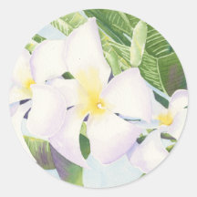 Frangipani om Stickers