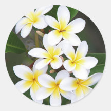 Frangipani Ronde Stickers