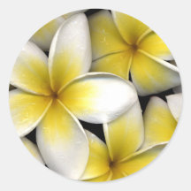 Frangipani Sticker