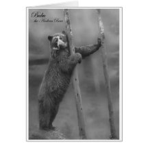 Frappez une pose - Bubu, carte pour notes de B&W