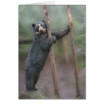 Frappez une pose - carte pour notes de Bubu