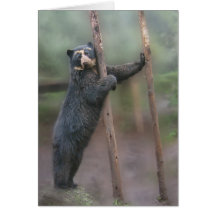 Frappez une pose - carte pour notes de Bubu