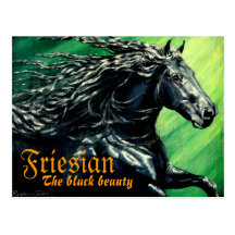Frison, le beuaty noir, cheval d'étalon cartes postales
