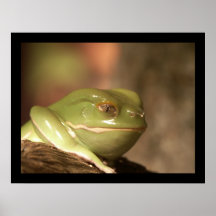 Froggie Poster