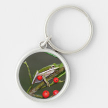Froggy Porte-clé