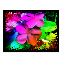 Funky Bloemen van de Pret Wenskaart