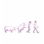 Funny evolution of men tee shirts