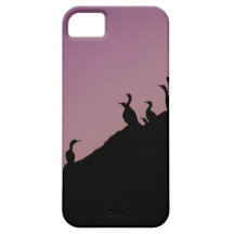 Futen iPhone 5 Hoesjes