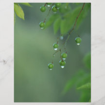 Ga Groen Fullcolor Folder