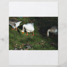 Gans Folders
