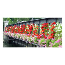 gardenbridge01 gepersonaliseerde fotokaarten