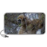 Gardien de singe haut-parleurs portables