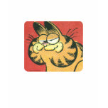 Garfield vintage, la chemise des femmes
