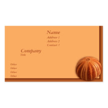 Garnement Cartes De Visite Professionnelles