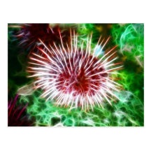 Garnement intelligent de la Mer Rouge Cartes Postales