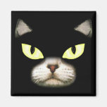 Gary le chat aimants pour réfrigérateur
