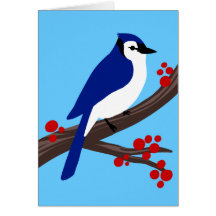 Geai bleu cartes de vœux