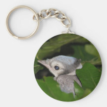 Geai bleu Keychain de bébé Porte-clé