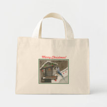 Geai d'hiver sacs