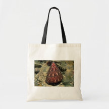 Gebeeldhouwde hoogste shell (euglyptum Calliostoma Canvas Tassen